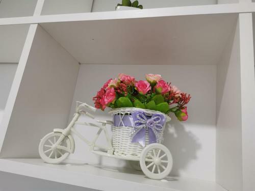 Apartamento Comfort Suite Alessia Brasov