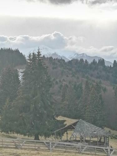 Apartamento Comfort Suite Alessia Brasov