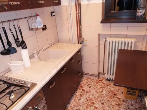 Apartament Athenee Palace Bucharest