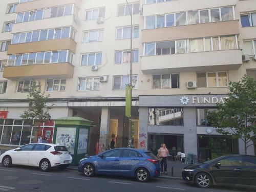 Twin 1 Apartment Cismigiu Gardens
