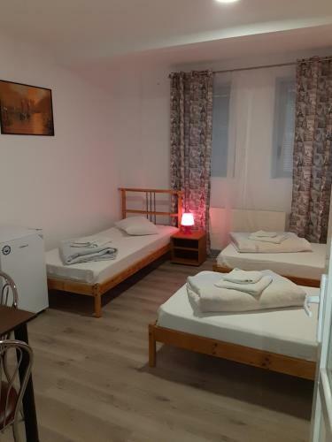 Carol 51 Hostel