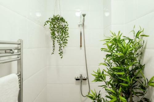 Apartamento Luxury Central - Old Town Studio