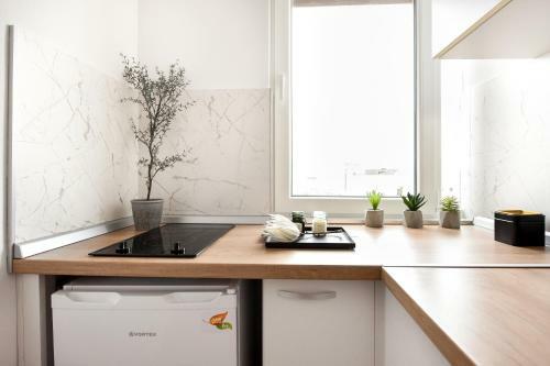 Apartamento White Haven. Calea Victoriei Studio