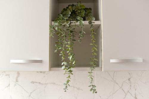 Apartamento White Haven. Calea Victoriei Studio