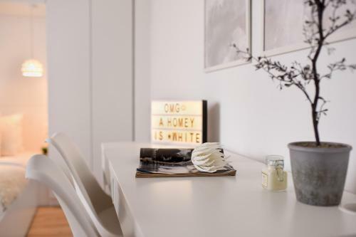 Apartamento White Haven. Calea Victoriei Studio