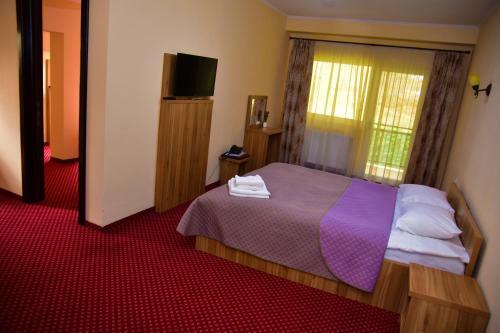 Hostal Pensiunea Bucura