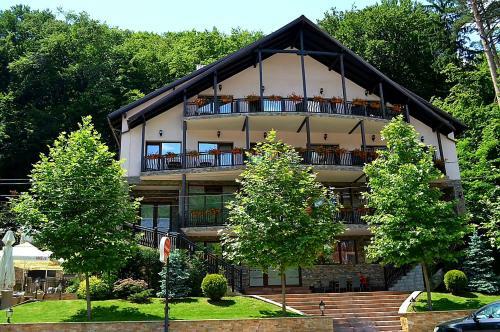 Hostal Pensiunea Bucura