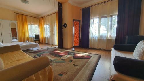 Hostal Pensiunea Sidonia