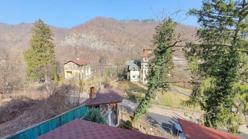 Hostal Pensiunea Sidonia