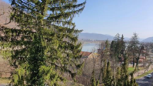 Hostal Pensiunea Sidonia