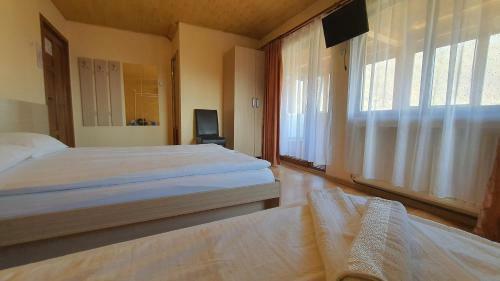 Hostal Pensiunea Sidonia