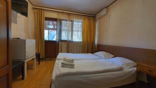Hostal Pensiunea Sidonia