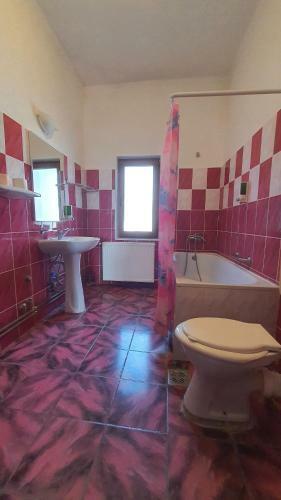 Hostal Pensiunea Sidonia