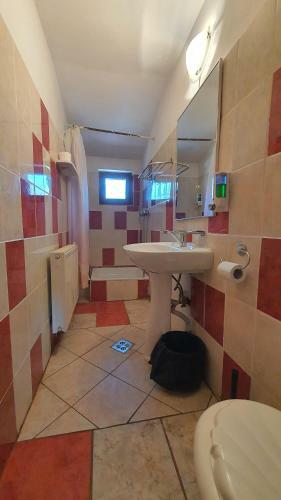 Hostal Pensiunea Sidonia