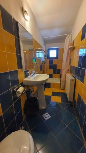 Hostal Pensiunea Sidonia