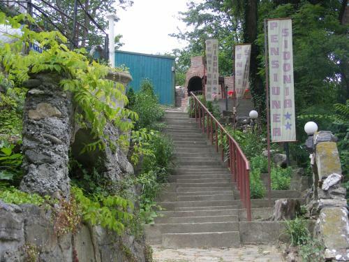 Hostal Pensiunea Sidonia