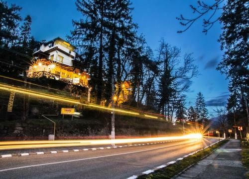 Hostal Pensiunea Sidonia