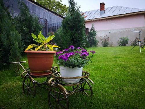Hostal Dnt House & Spa