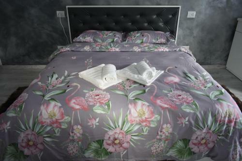 Hotel Cazare Moldi Btt