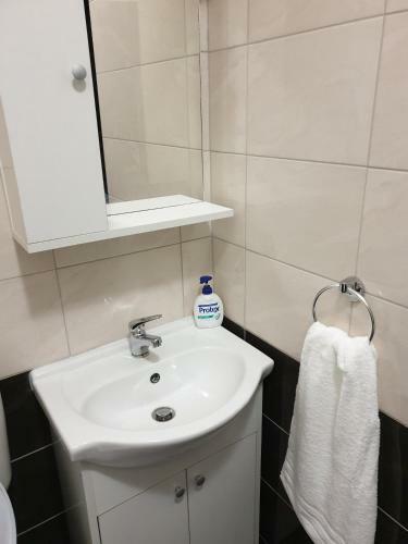 Luxury Apartment Dan