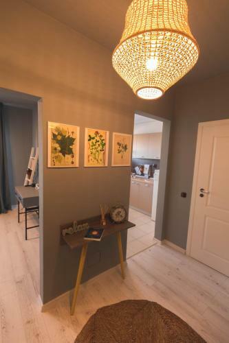 Zorilor View Apartment
