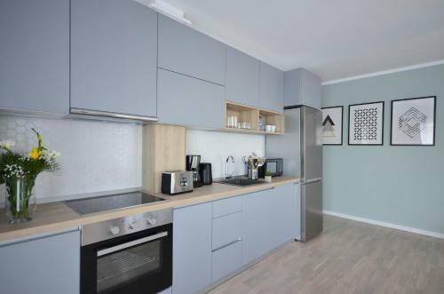Cluj Lux Apartment Scala Center