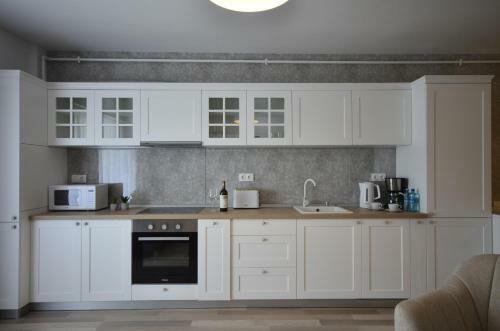 Cluj Lux Apartment Scala Center
