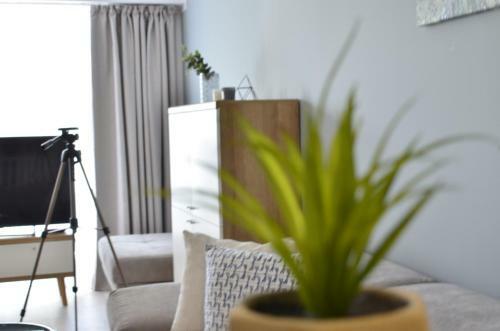 Cluj Lux Apartment Scala Center