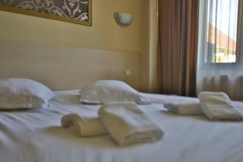 Hotel Vila Vidalis