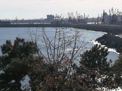 Apartament Cazinou