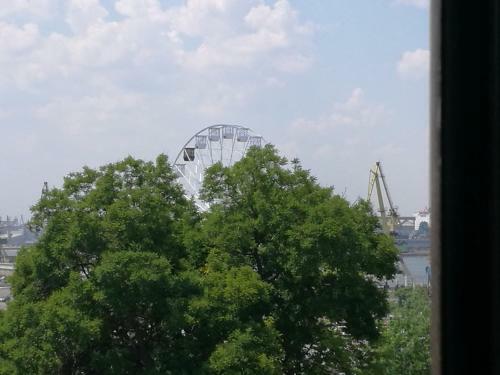 Apartament Cazinou