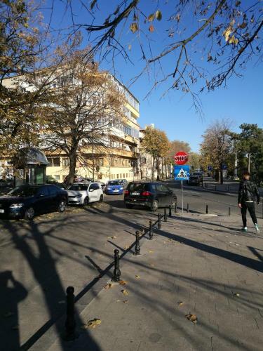 Apartament Cazinou