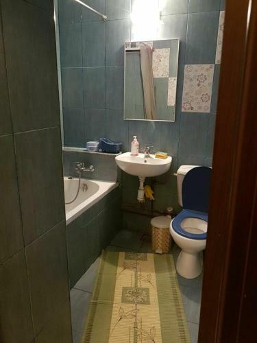 Apartamento Elena Sat Vacanta