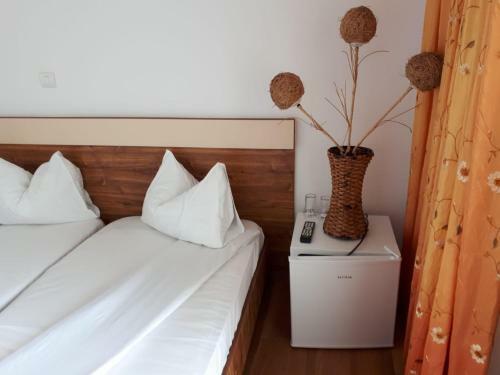 Albergue Stefan Costinesti