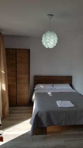 Hostal Casa Alesia Bucovina