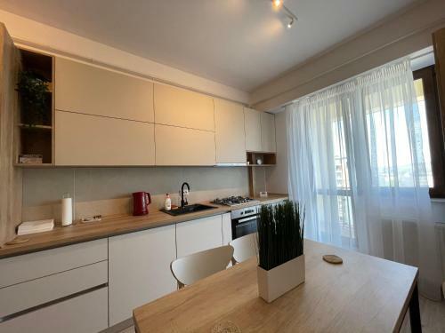 Luxury Apartments Palas Mall Centru