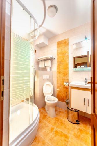Hostal Pensiunea Minerva