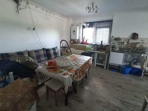 Apartamento Mansard? Cu Teras? Spa?ioas?