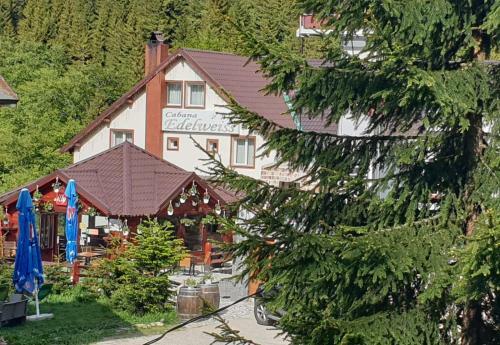 Hotel Cabana Edelweiss