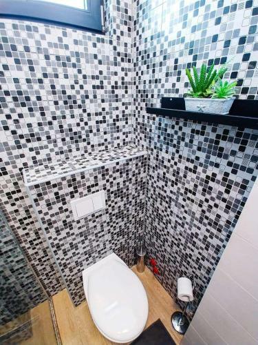 Apartamento Alexandra Studio