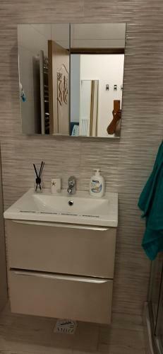 Apartamento Debarcaderul Pescarului