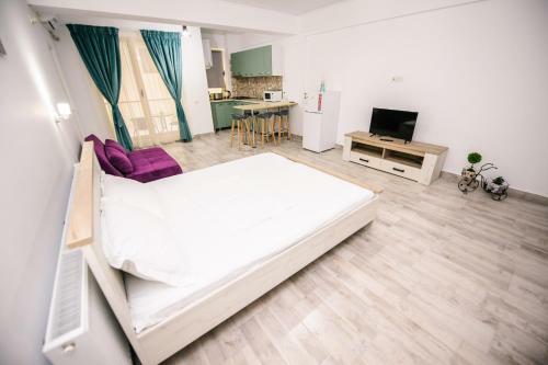 Apartamento Garsoniera Melissa Complex Stefan Building