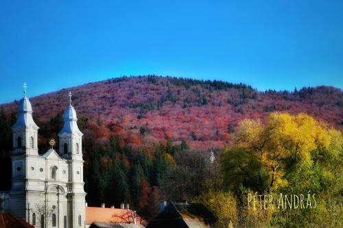 Hotel Cs�ki Boutique House