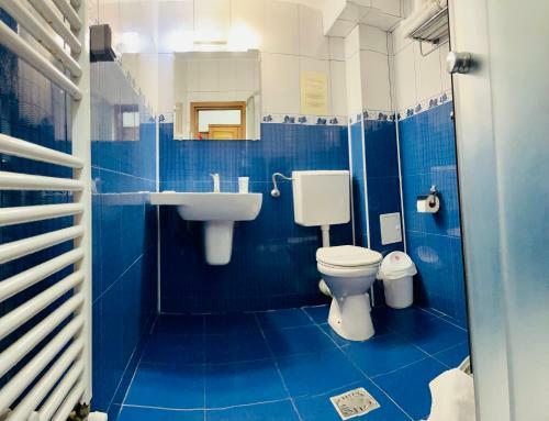Hostal Pensiunea Beluga