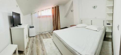 Hostal Pensiunea Beluga