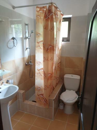 Hostal Pensiunea Passiflora