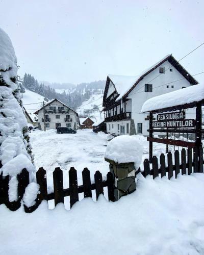 Hostal Regina Mun?ilor