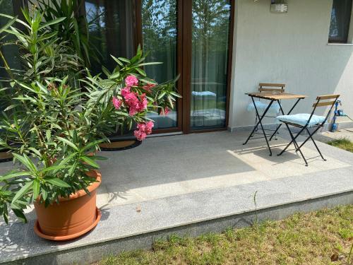Apartamento Aviator Boutique Residence