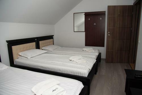 Hostal Pensiunea Aria Paltinis