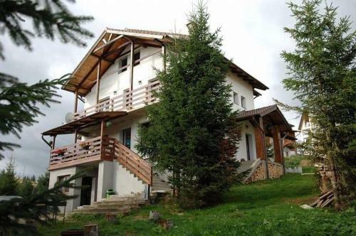 Hostal Casa De Vacanta Two Brothers Concept
